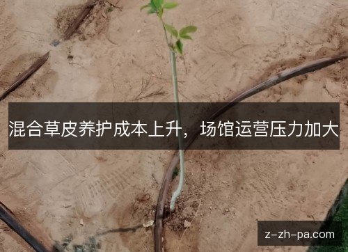 混合草皮养护成本上升,场馆运营压力加大 混合草皮养护成本上升,场馆运营压力加大